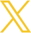 公式X